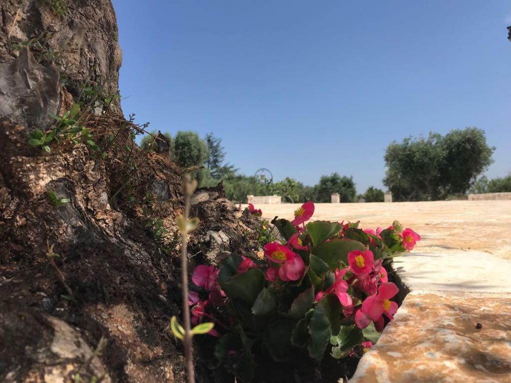 Trulli Da Lalli Ostuni Exterior photo